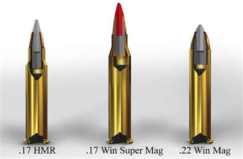 17 winchester super mag.